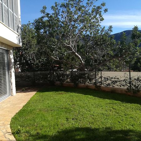 M&D Appartments Komiža Eksteriør billede